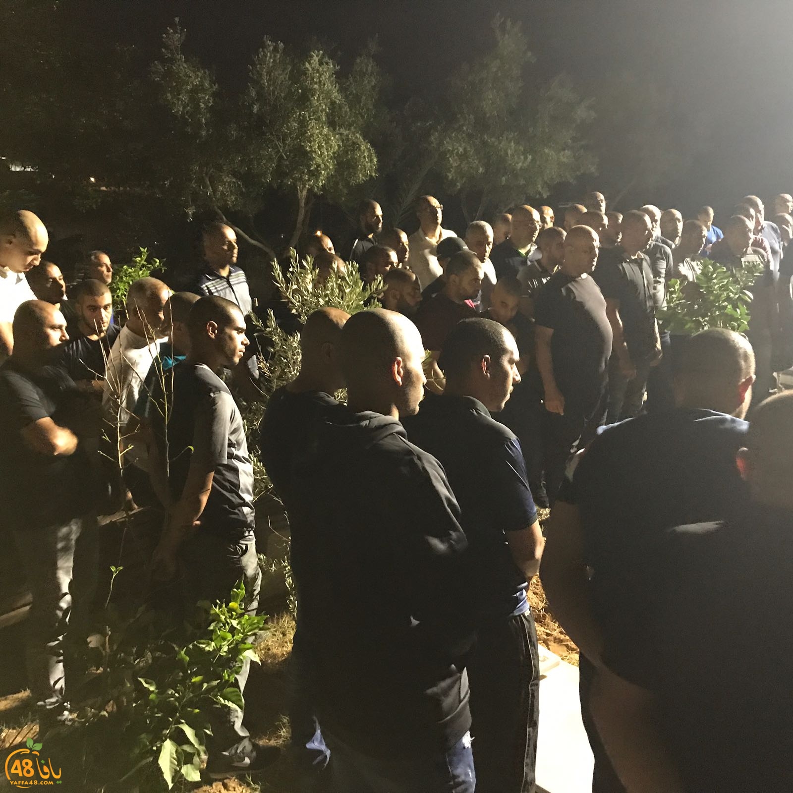 WhatsApp Image 2017-09-23 at 06.10.42.jpeg